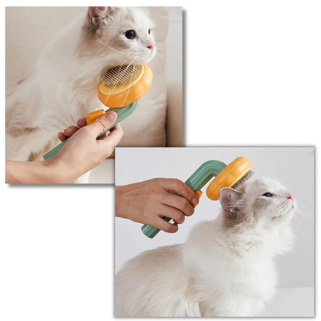 Self-cleaning pumpkin pet brush