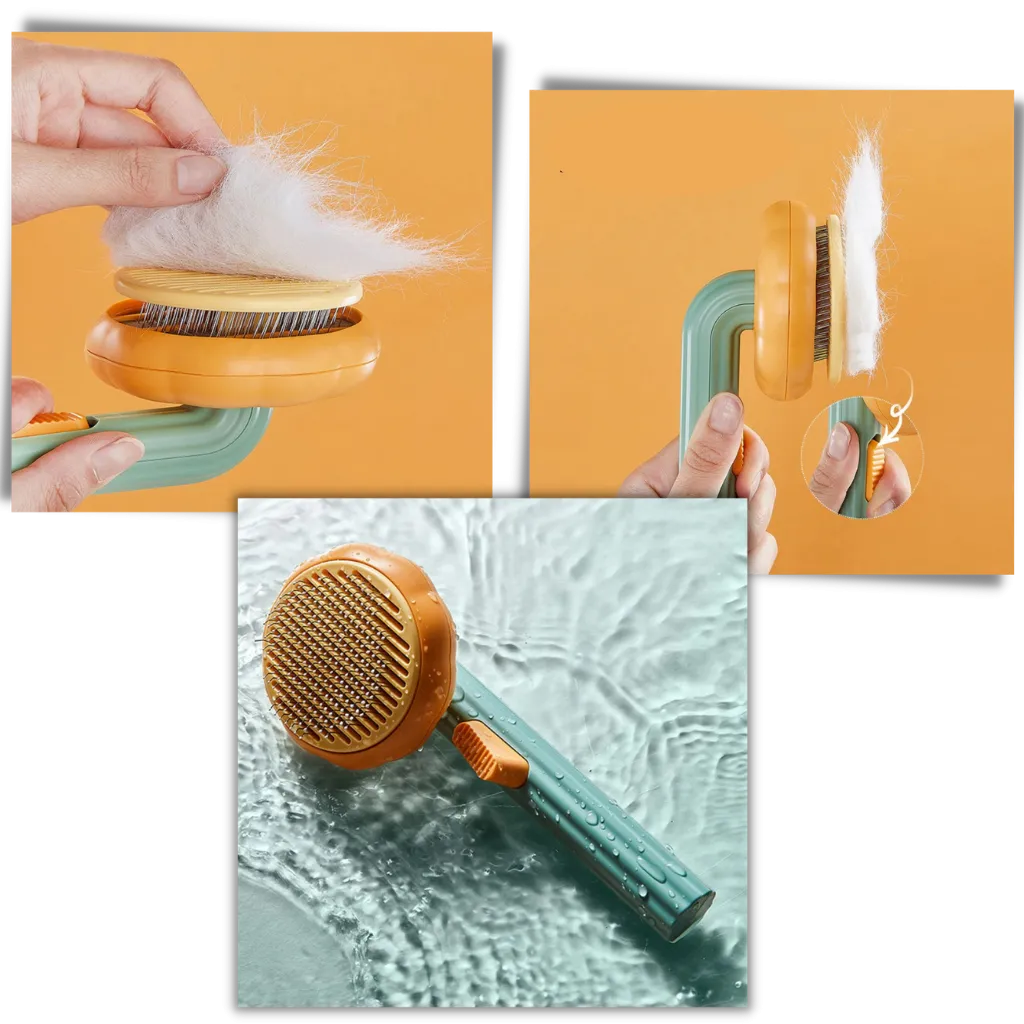 Self-cleaning pumpkin pet brush