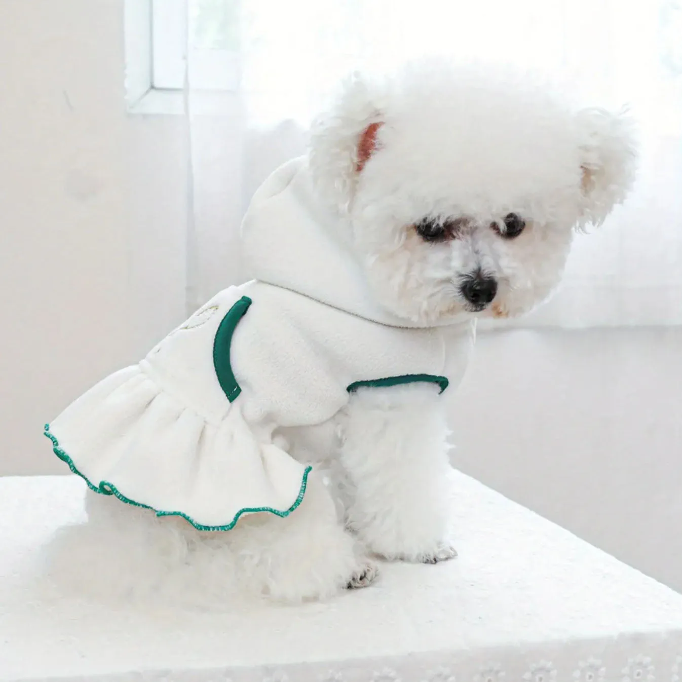 Tennis Dog Hoodie