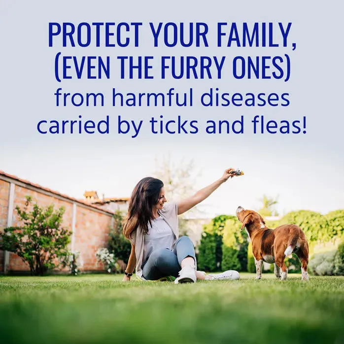 TERRO FLEA & TICK YARD SPRAY