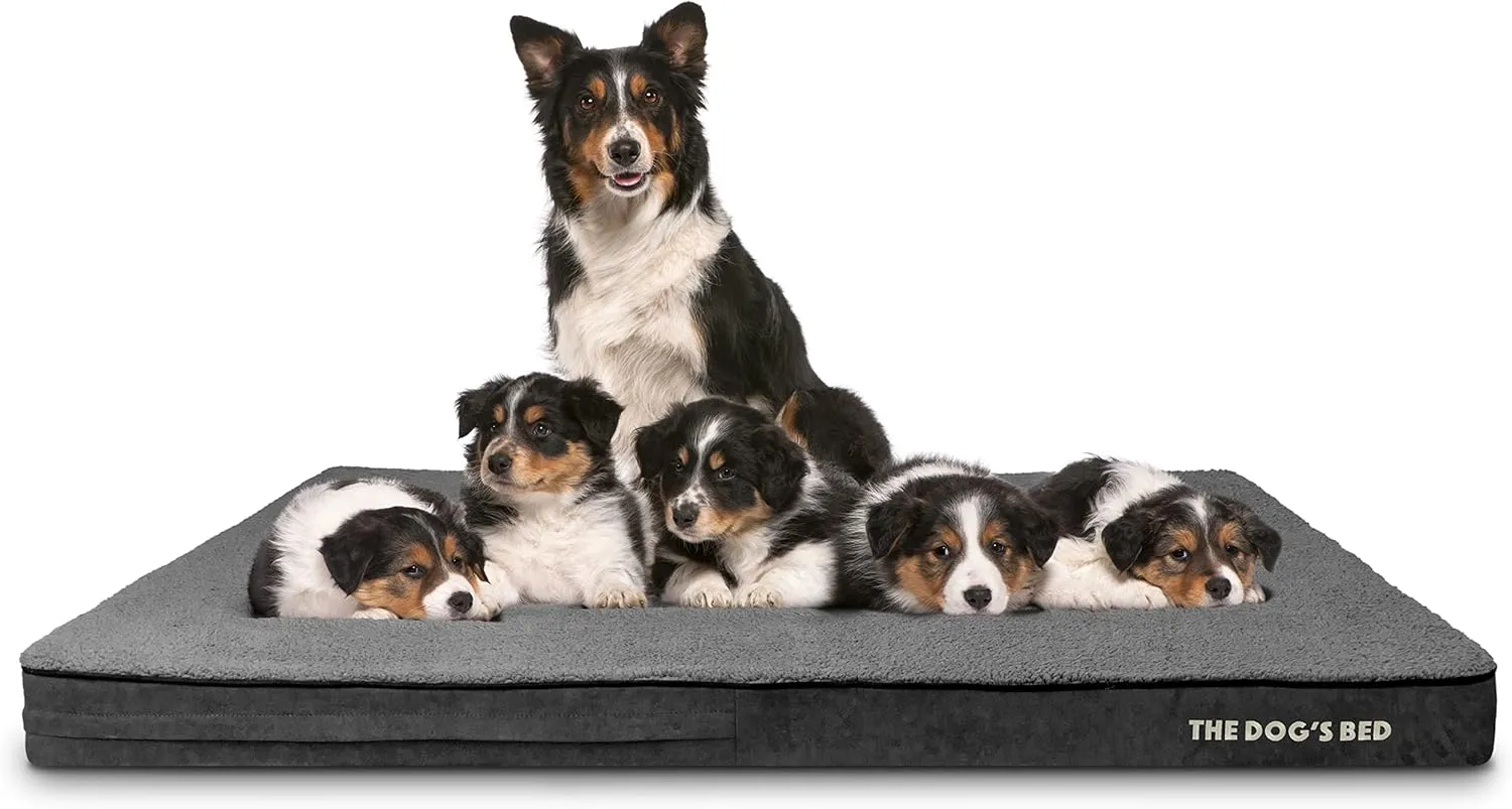 The Dogs Bed Orthopedic Memory Foam Jumbo Dog Bed, XXXL Grey Plush 64x44, Pain Relief for Arthritis, Hip & Elbow Dysplasia, Post Surgery, Lameness, Supportive, Waterproof Washable Cover