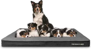 The Dogs Bed Orthopedic Memory Foam Jumbo Dog Bed, XXXL Grey Plush 64x44, Pain Relief for Arthritis, Hip & Elbow Dysplasia, Post Surgery, Lameness, Supportive, Waterproof Washable Cover