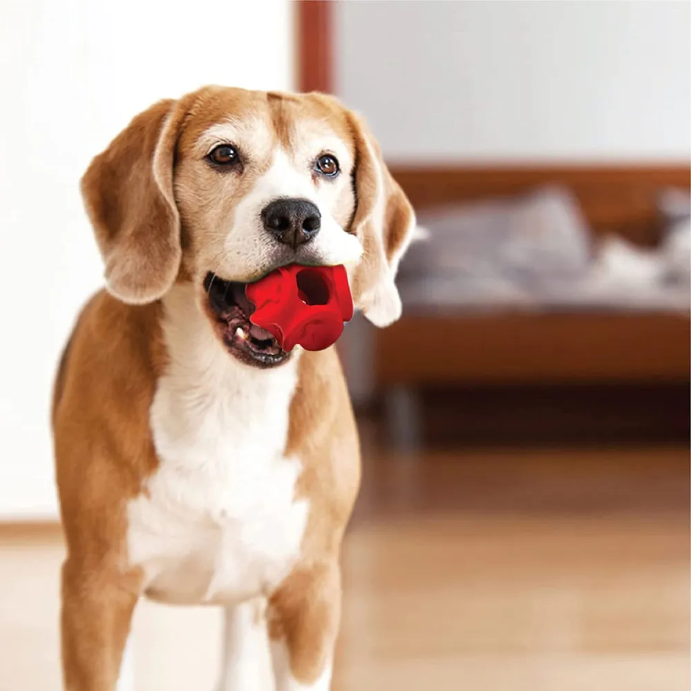 Trixie Denta Mint Flavour Rubber Fun Rugby Ball and Goofy Tails Wobbly Rubber Ball for Dogs Combos