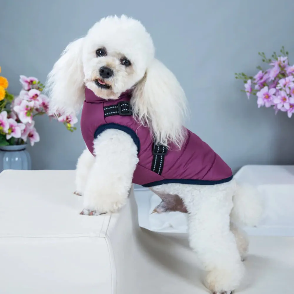 Waterproof Winter Dog Coat With Built-In Harness
