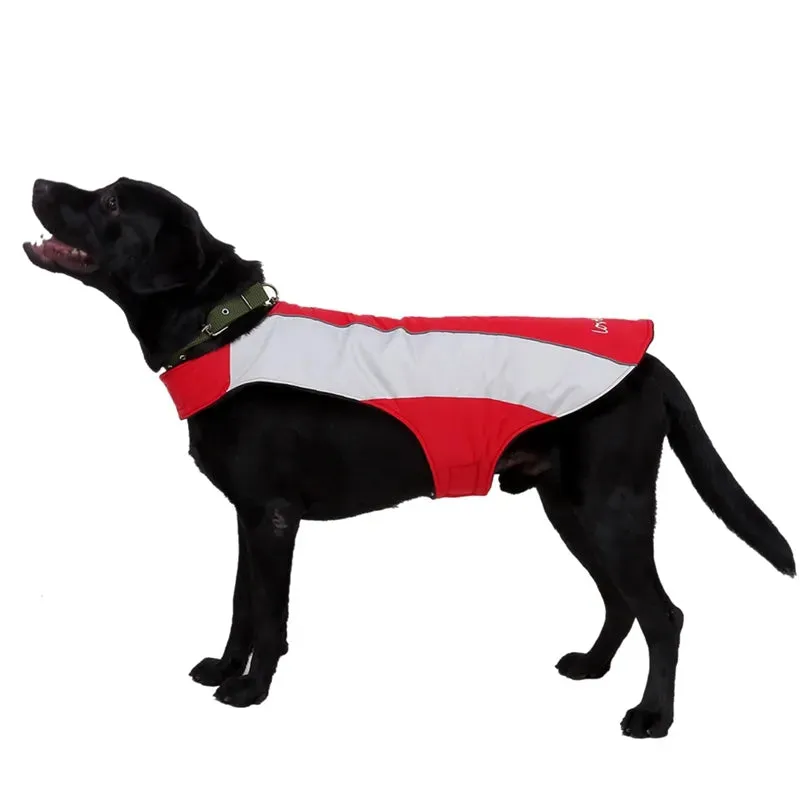 Winter Dog Coat