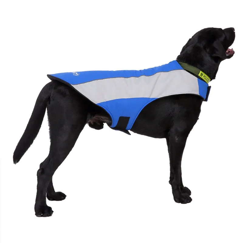 Winter Dog Coat