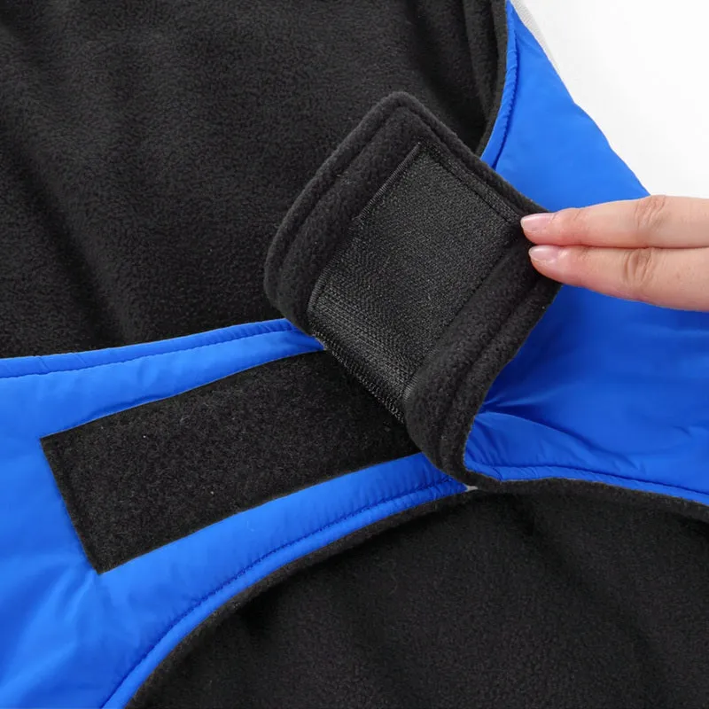 Winter Dog Coat